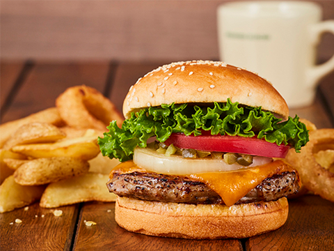 フレッシュネスバーガー