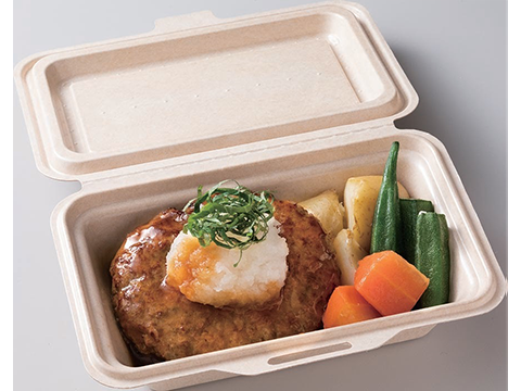 ジューシー大葉おろしハンバーグ塩麹醤油ソース