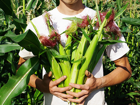 WE ARE THE FARM