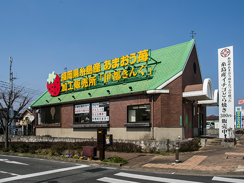 福岡縣產甘王士多啤梨加工銷售所伊都金穀