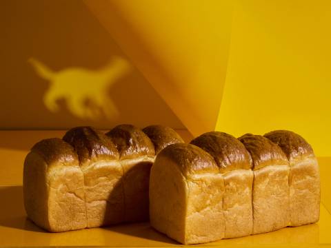 スペイン窯 パンのトラ
