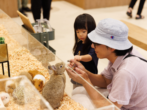 Moff animal cafe