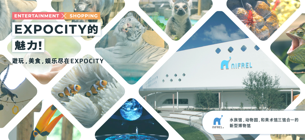 [ENTERTAINMENT × SHOPPING] The charm of EXPOCITY! 游玩，美食，娱乐尽在EXPOCITY  NIFREL 水族馆，动物园，和美术馆三馆合一的新型博物馆