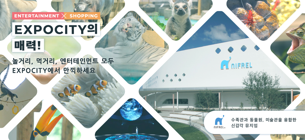 [ENTERTAINMENT × SHOPPING] The charm of EXPOCITY! 놀거리, 먹거리, 엔터테인먼트 모두 EXPOCITY에서 만끽하세요 NIFREL 수족관과 동물원, 미술관을 융합한 신감각 뮤지엄