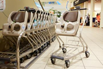 Stroller rental