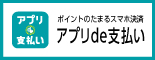 APP de支付
