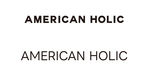 AMERICAN HOLIC
