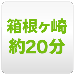 箱根ヶ崎約20分