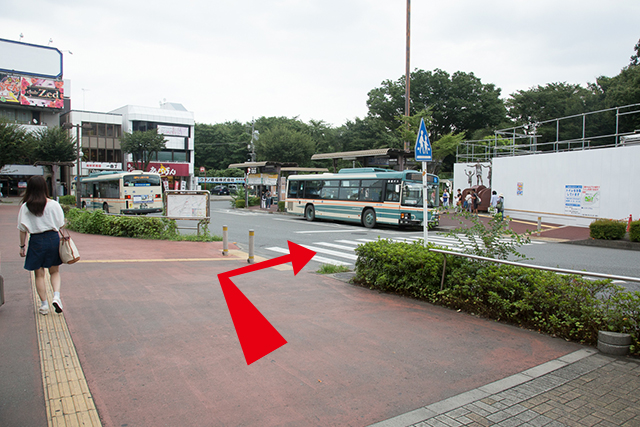 4.向左前行，过人行横道。