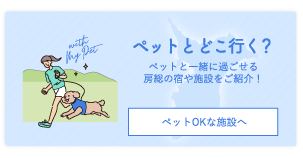 애완 동물과 어디 가세요?