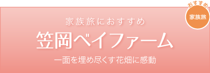 카사오카 베이 팜