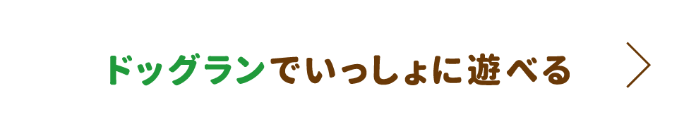 ドッグランでいっしょに遊べる