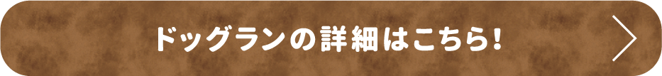 ドッグランの詳細はこちら！