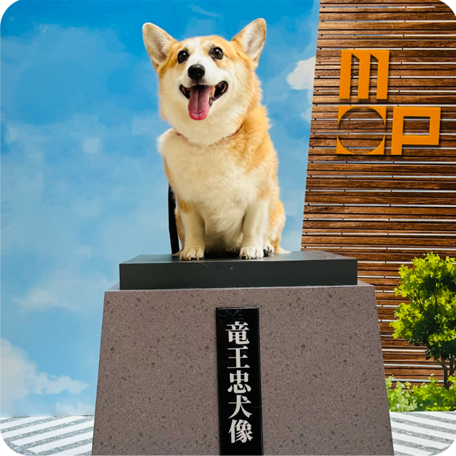 フォトスポット