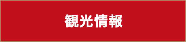 観光情報