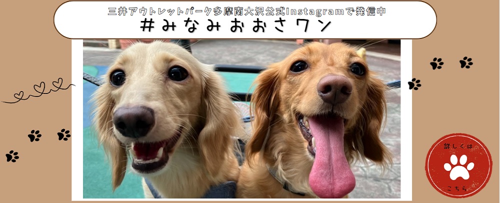 みなみおおさワン