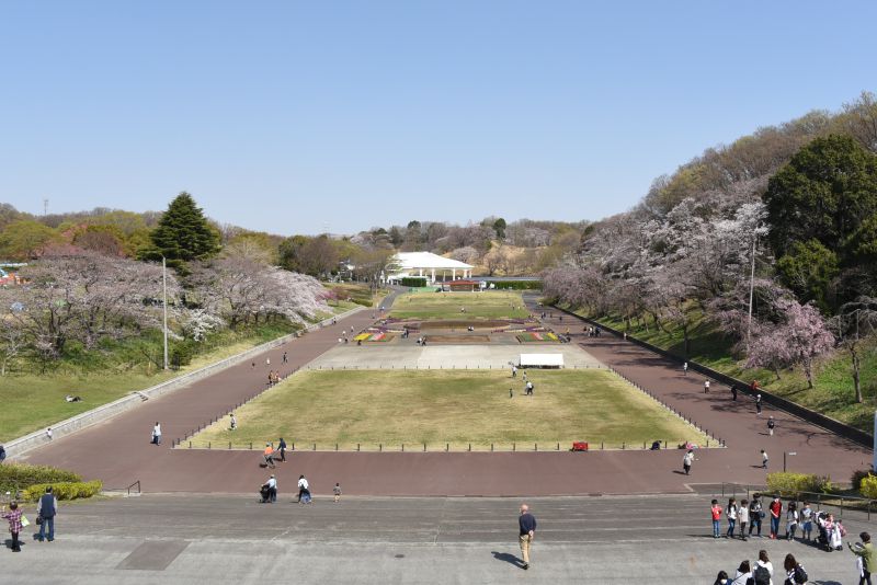 こどもの国の様子1