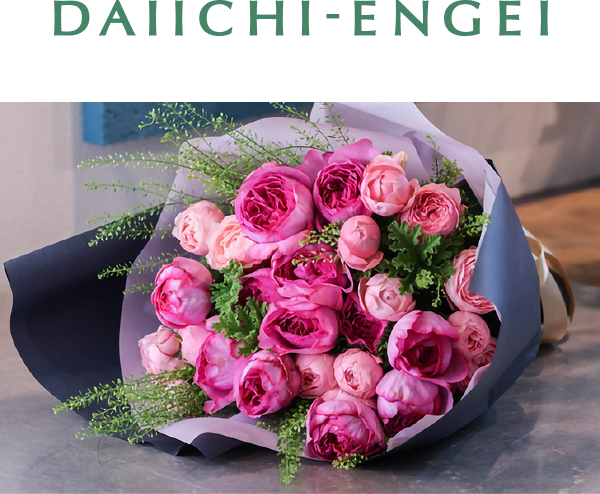 DAIICHI - ENGEI