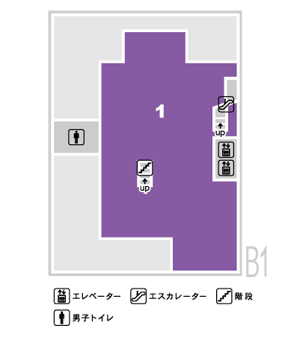 B1