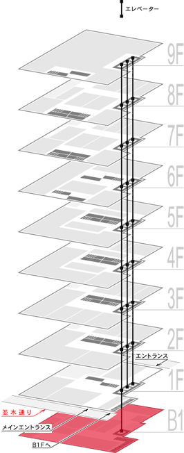 B1