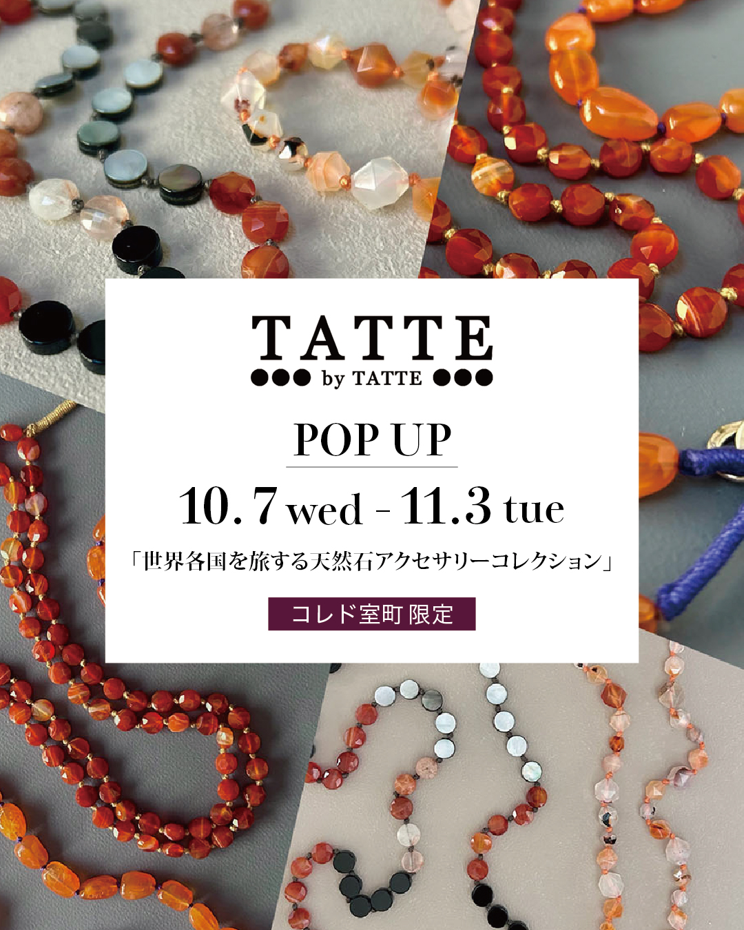 tatte01