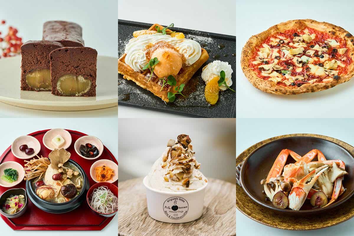 コレド室町に秋到来！旬を味わう、限定グルメ最前線