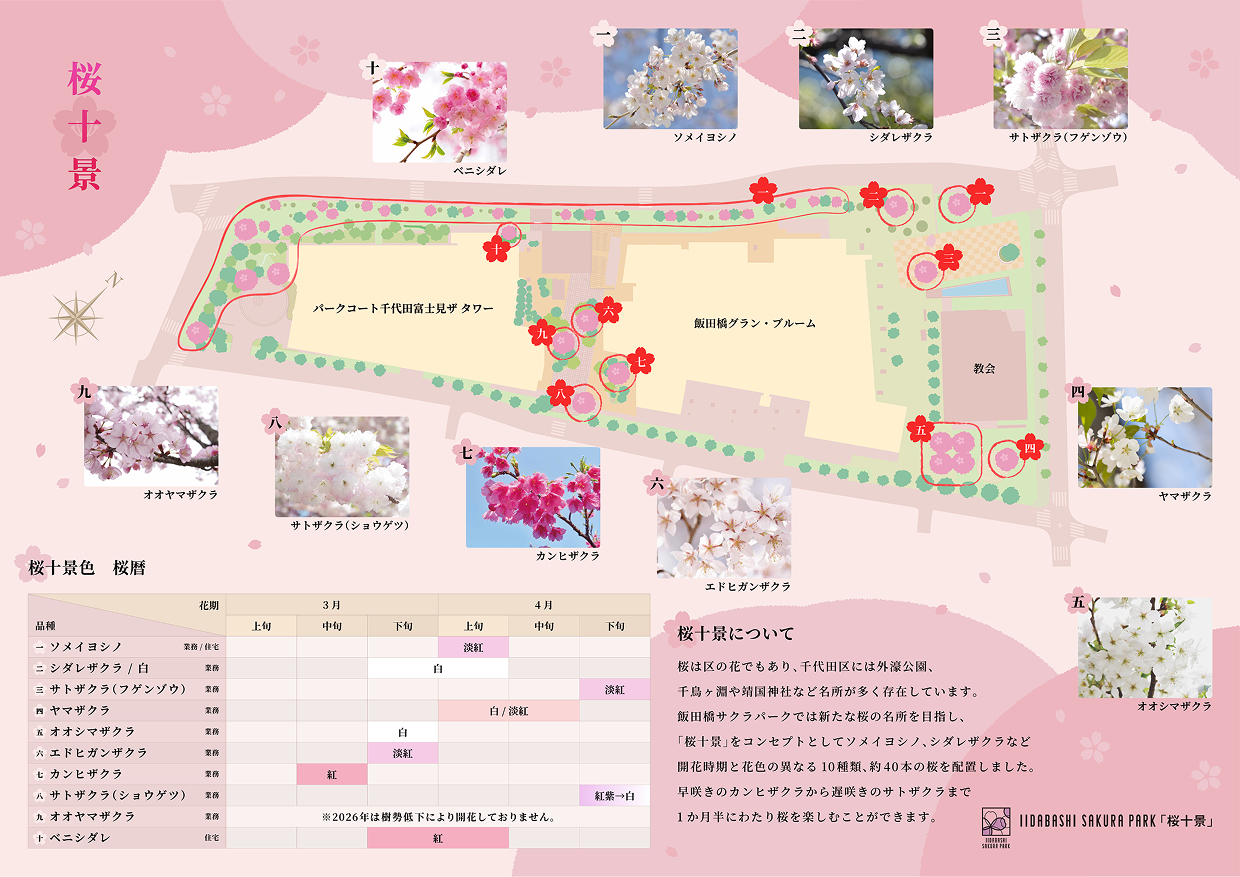 桜十景