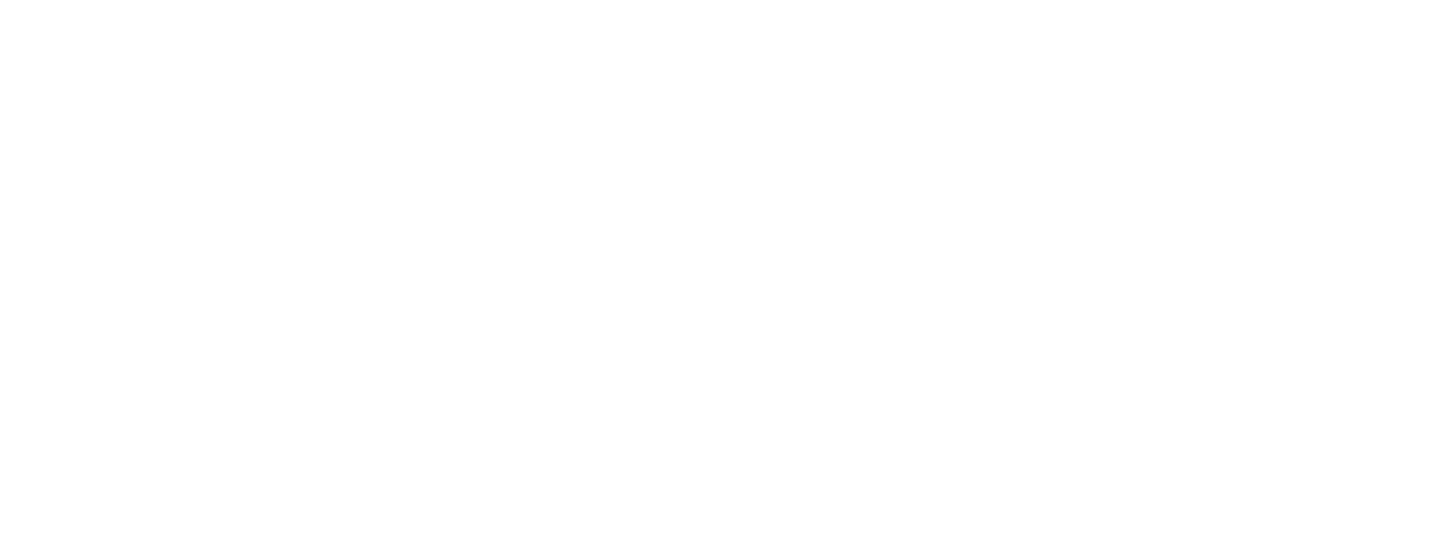 LUXURY BRANDS